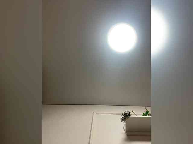 Tvoyaboginya webcam
