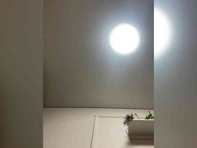 Tvoyaboginya webcam