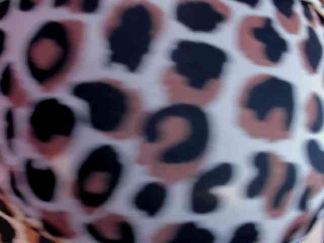 gipsela-gomez webcam