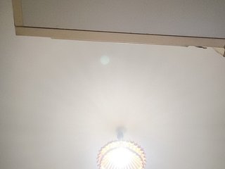 Ritia Porn Show