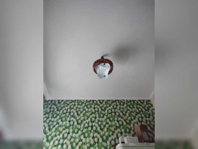 Ritia