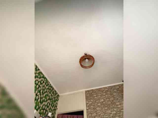 Ritia webcam