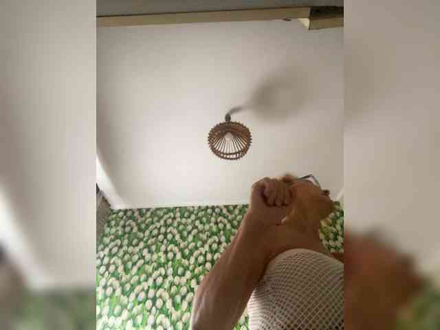 Ritia