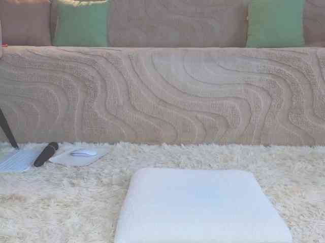 Lisa-art webcam