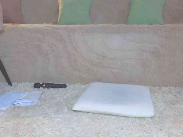 Lisa-art webcam