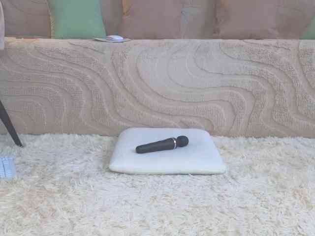 Lisa-art webcam