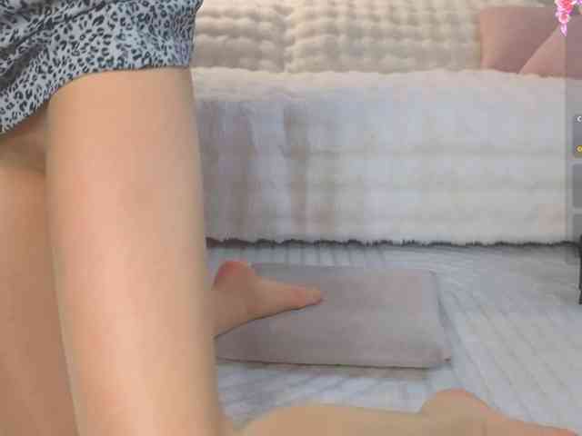 Lisa-art webcam