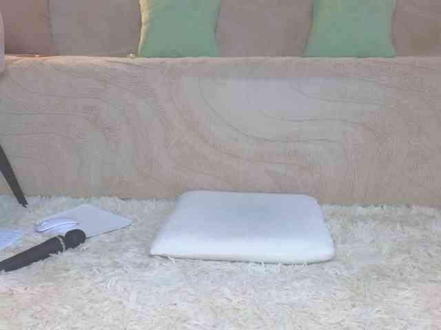 Lisa-art webcam