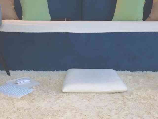 Lisa-art webcam