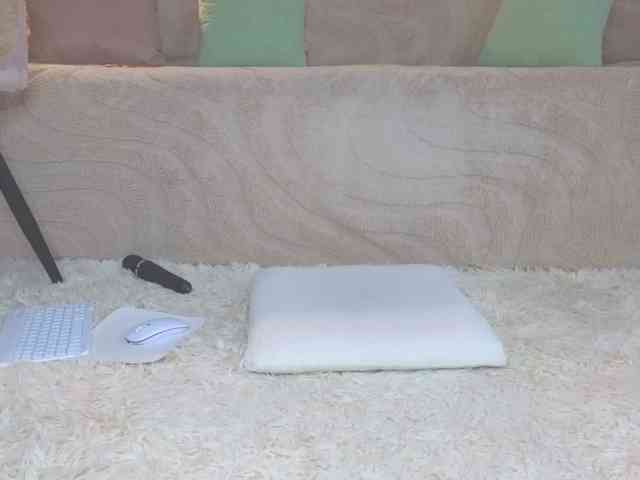 Lisa-art webcam