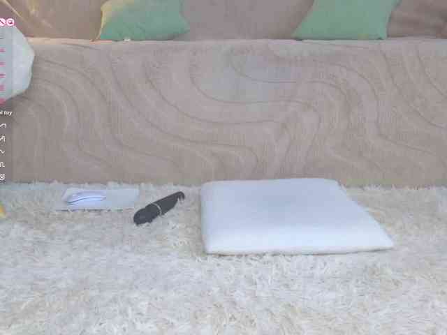 Lisa-art webcam