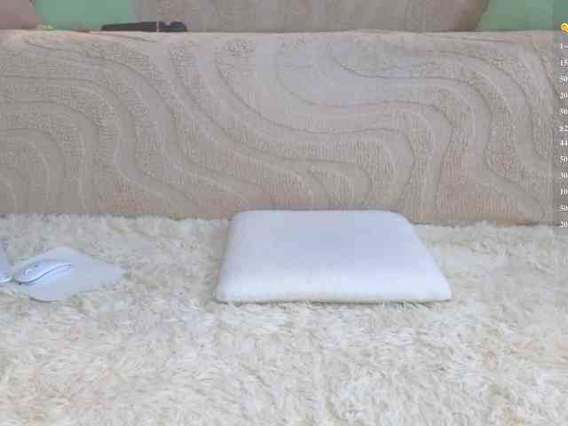 Lisa-art webcam