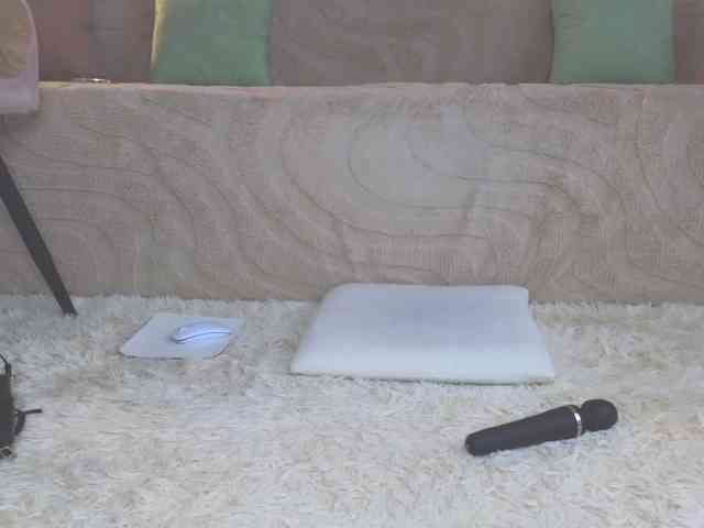 Lisa-art webcam