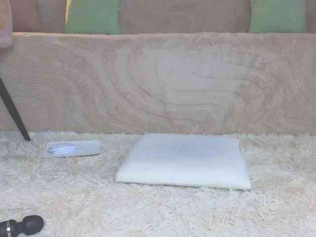 Lisa-art webcam