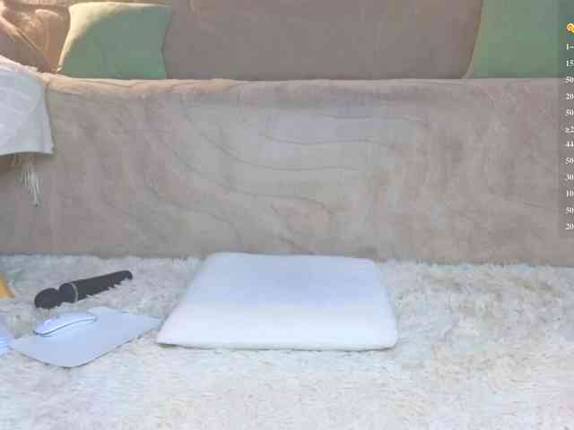 Lisa-art webcam