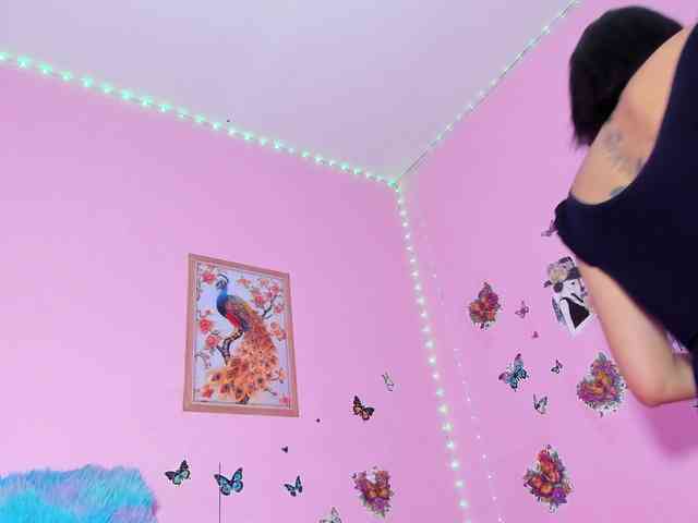 taylorlee webcam