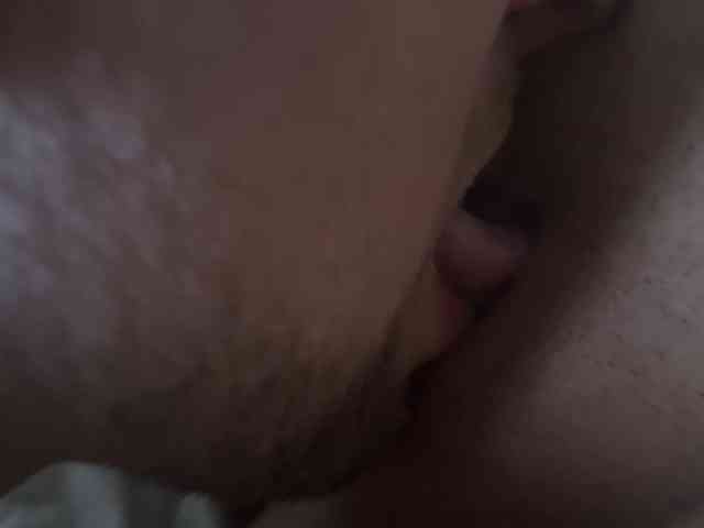 DemLKSon webcam