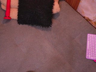 zoeyfox Porn Show