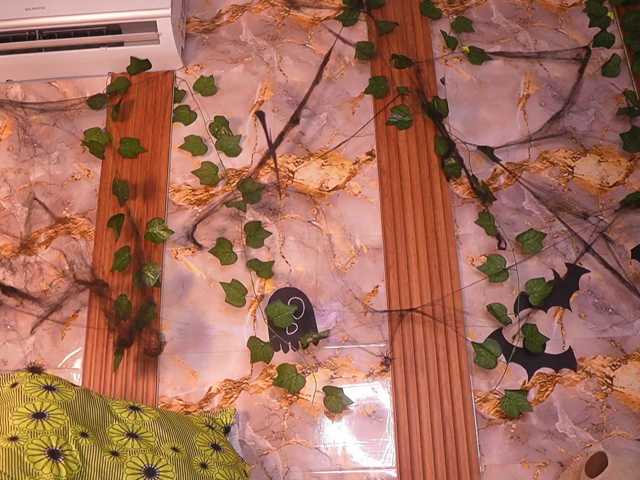 zoeyfox