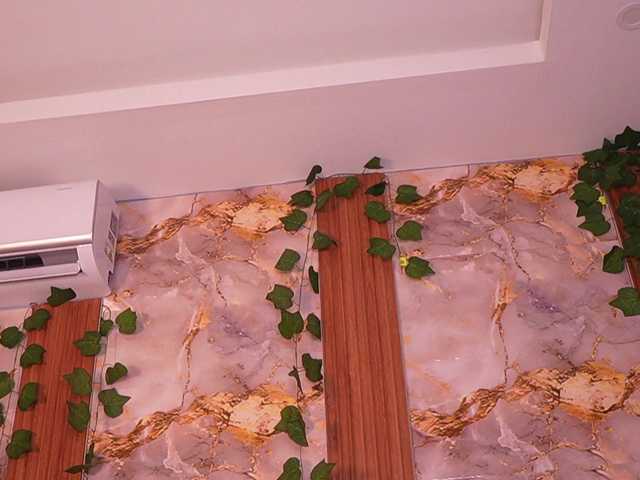 zoeyfox