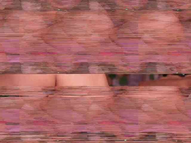 zoeyfox