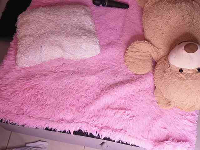 zoeyfox webcam