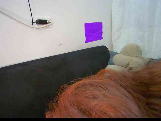 HannahCox19 webcam