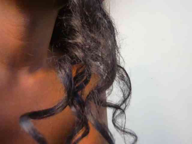 Amara__R1