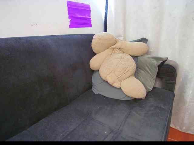HannahCox19 webcam