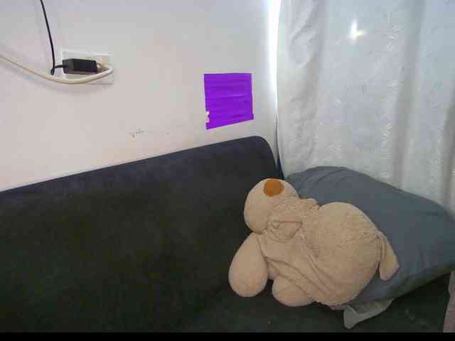 HannahCox19 webcam