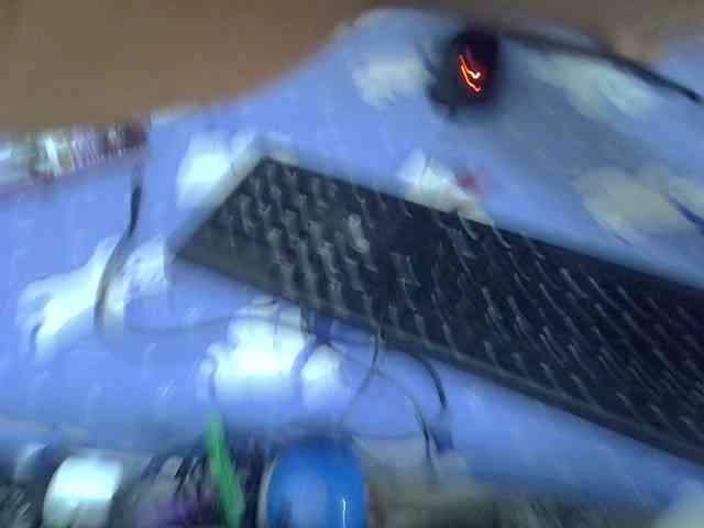 Africanasaucy webcam