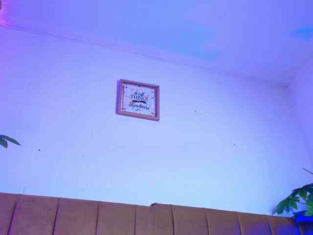 Nikkenyx webcam