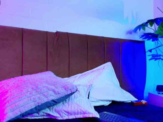 Nikkenyx webcam