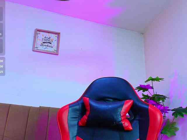Nikkenyx webcam