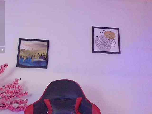 Nikkenyx webcam