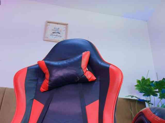 Nikkenyx webcam