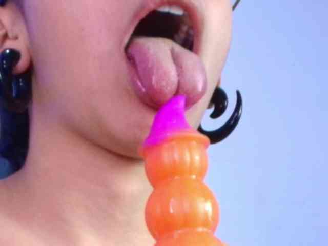 Nikkenyx webcam