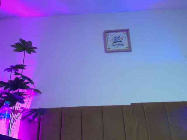 Nikkenyx webcam