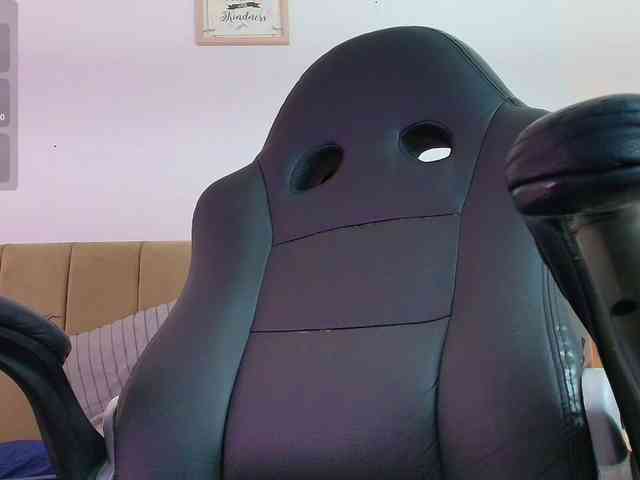 Nikkenyx webcam