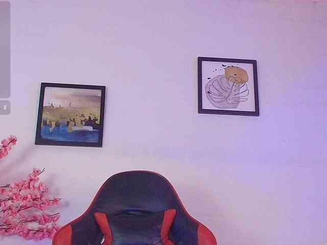 Nikkenyx webcam