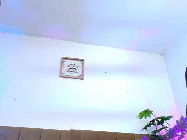 Nikkenyx webcam