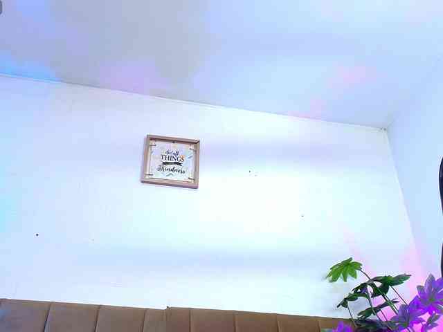 Nikkenyx webcam