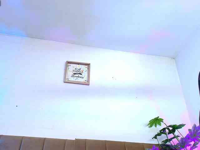 Nikkenyx webcam