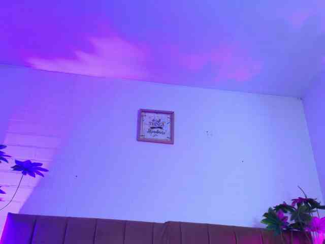 Nikkenyx webcam