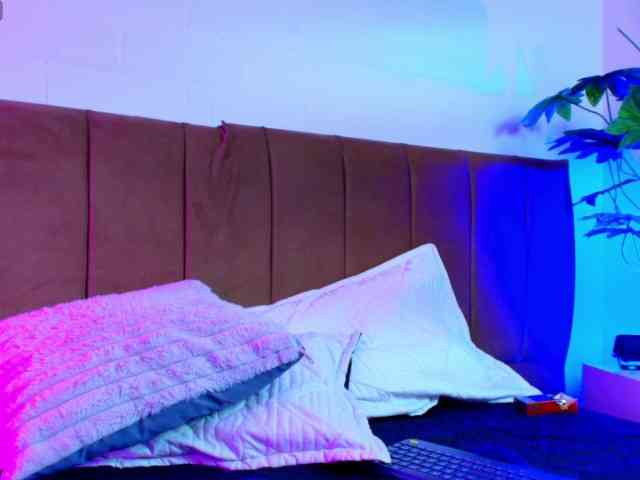 Nikkenyx webcam