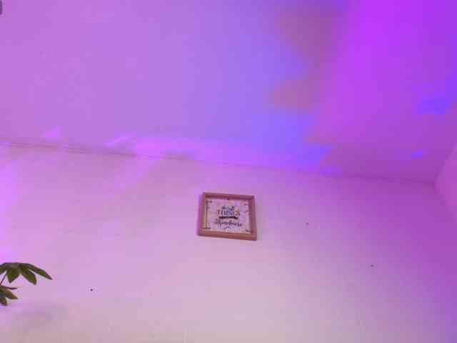 Nikkenyx webcam