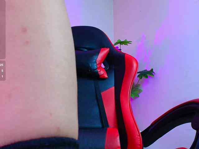 Nikkenyx webcam
