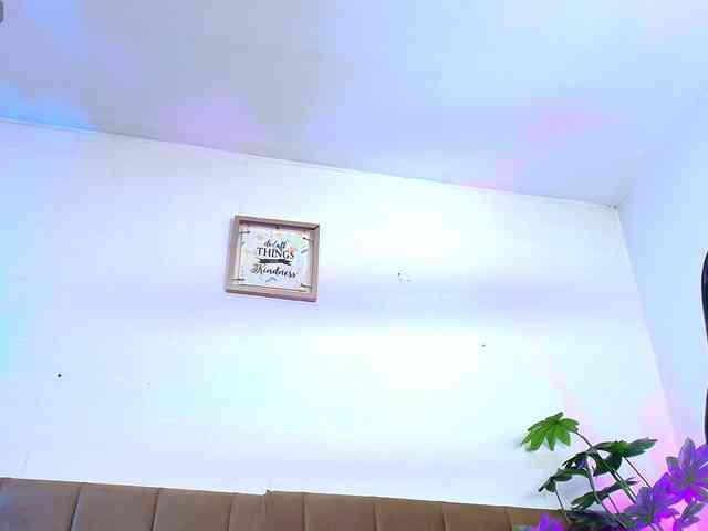 Nikkenyx webcam