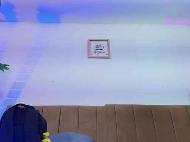 Nikkenyx Nikkenyx