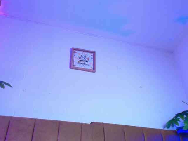 Nikkenyx webcam
